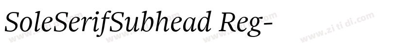 SoleSerifSubhead Reg字体转换